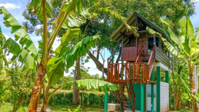 Pride Rock Villa & Tree House